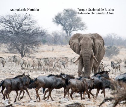 Animales de Namibia Parque Nacional de Etosha Eduardo Hernández Albin book cover
