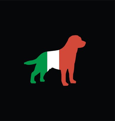 Dogs in Italy book cover