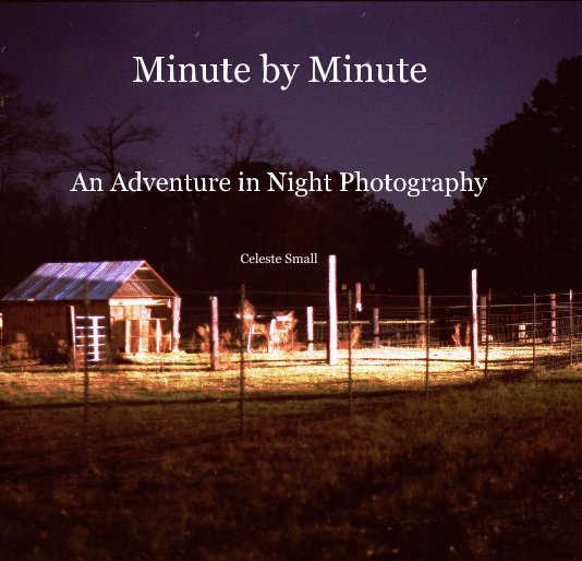 View Minute by Minute by Celeste Small