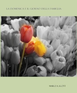 LA DOMENICA E IL GIORNO DELLA FAMIGLIA book cover