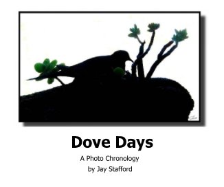 Dove Days book cover