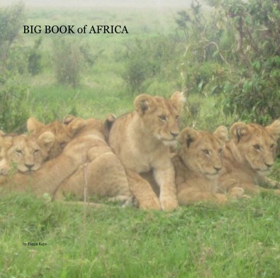 BIG BOOK of AFRICA book cover