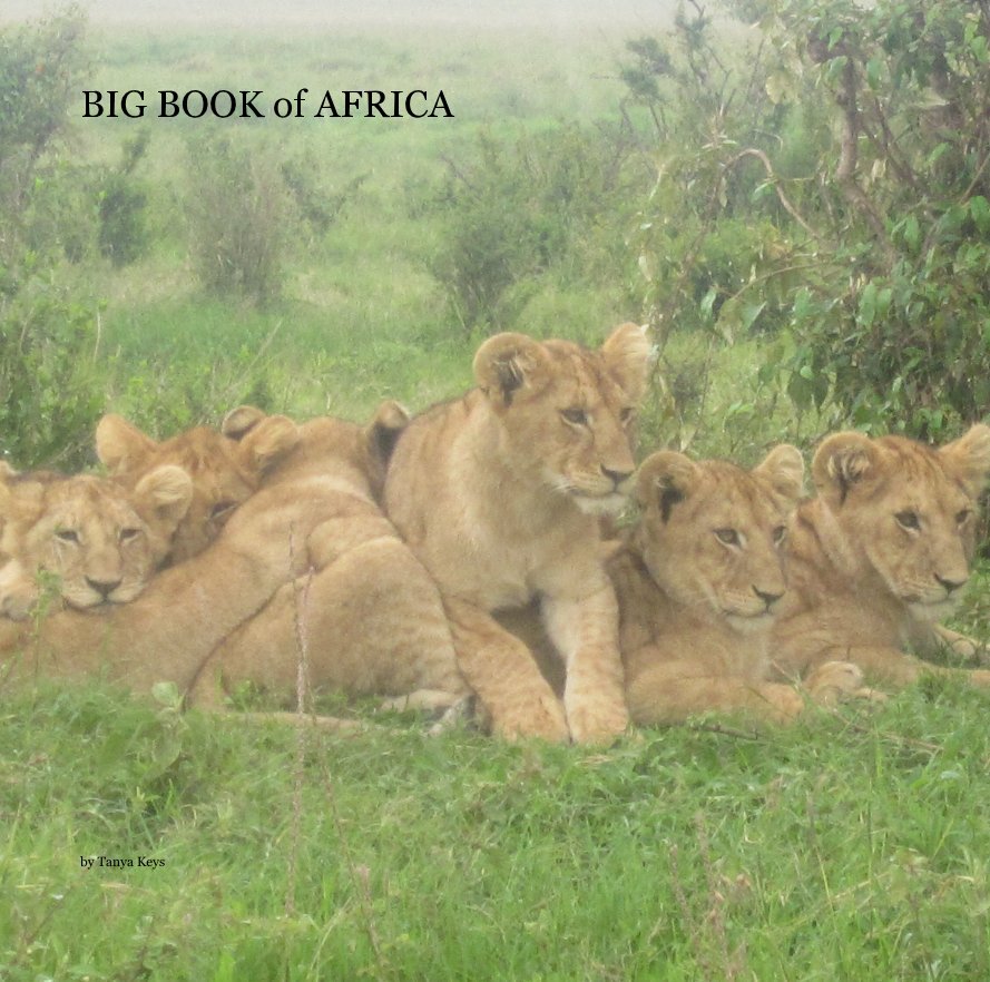 View BIG BOOK of AFRICA by Tanya Keys