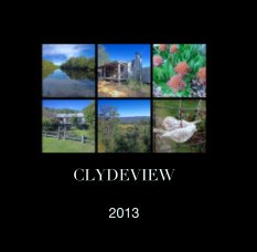 CLYDEVIEW book cover
