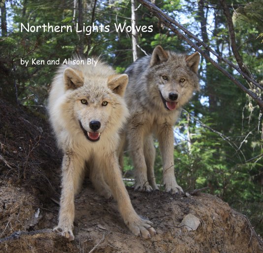 View Northern Lights Wolves by Ken and Alison Bly