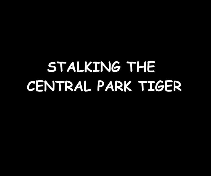 View STALKING THE CENTRAL PARK TIGER by Ron Dubren