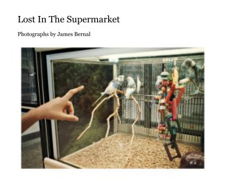 Lost In The Supermarket book cover