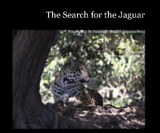 The Search for the Jaguar book cover