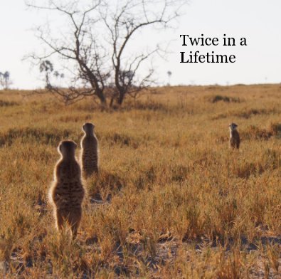 Twice in a Lifetime book cover