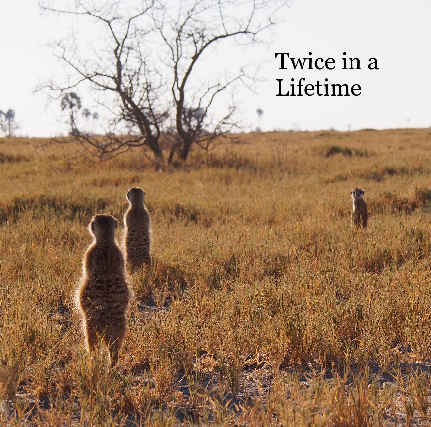 View Twice in a Lifetime by Andy and Melinda diSessa