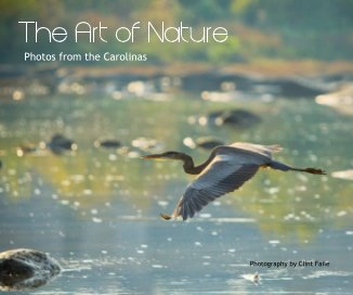 The Art of Nature Photos from the Carolinas Photography by Clint Faile book cover