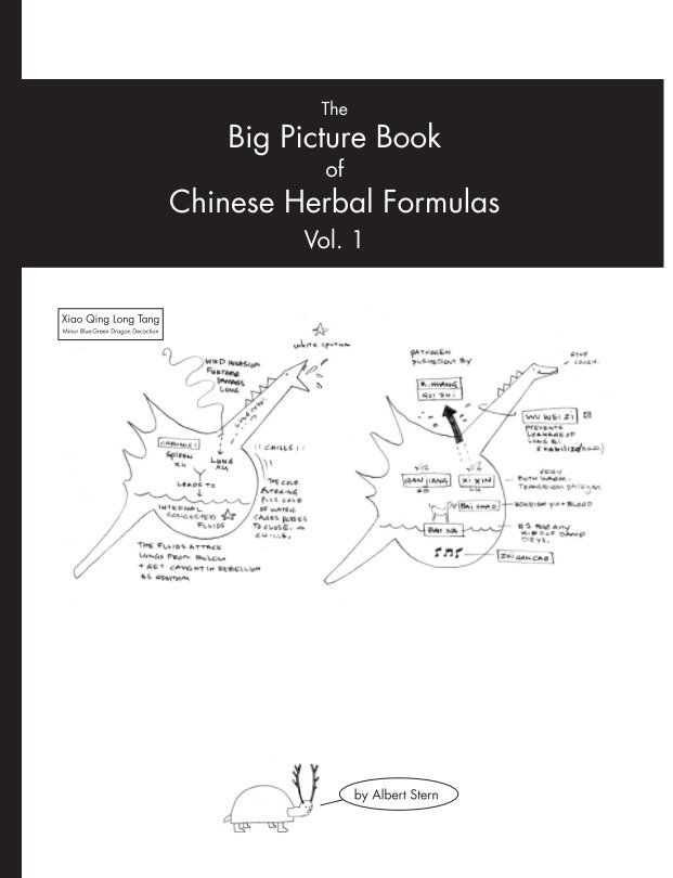 View The Big Picture Book of Chinese Herbal Formulas Vol. 1 by Albert Stern