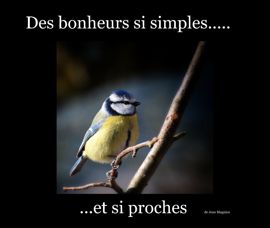 View Des bonheurs si simples..... by de Jean Magnien