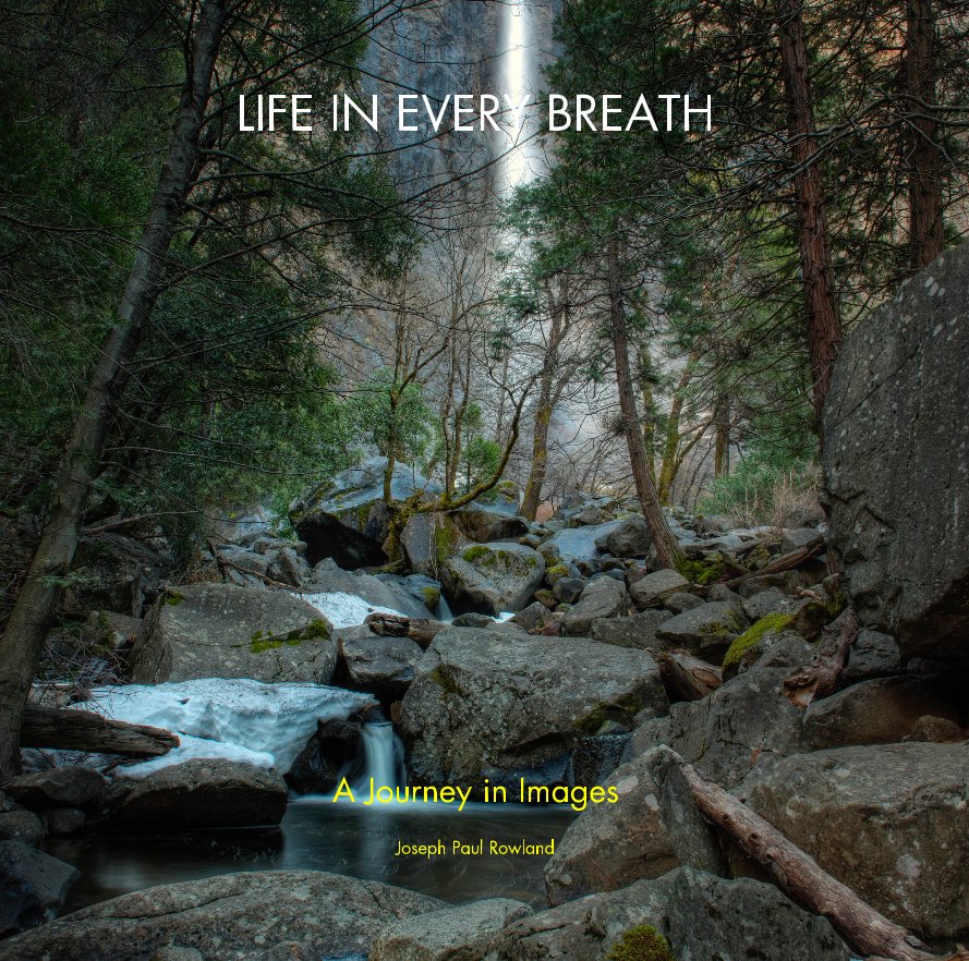 View LIFE IN EVERY BREATH by Joseph Paul Rowland