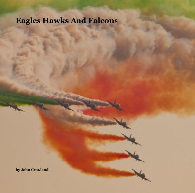 Eagles Hawks And Falcons book cover