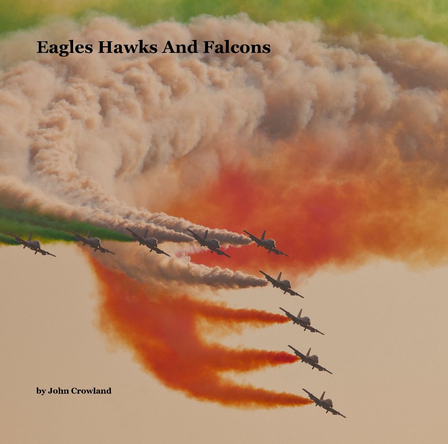 Ver Eagles Hawks And Falcons por John Crowland