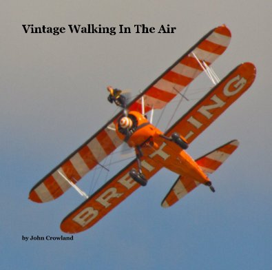 Vintage Walking In The Air book cover