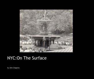 nyc:on the surface copy book cover