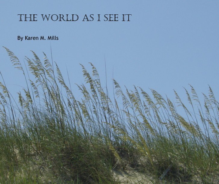 View The World as I see it by Karen M. Mills