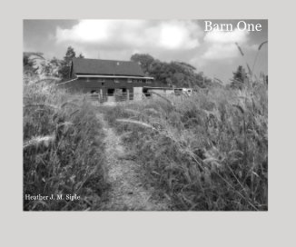 Barn One book cover