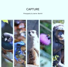 CAPTURE book cover