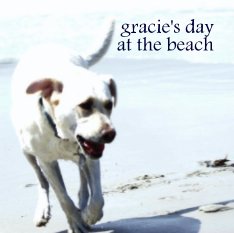 gracie's day at the beach book cover
