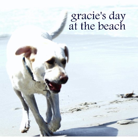 View gracie's day at the beach by David Allen Ibsen