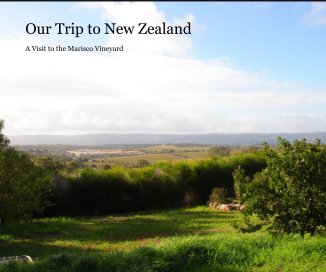 Our Trip to New Zealand book cover