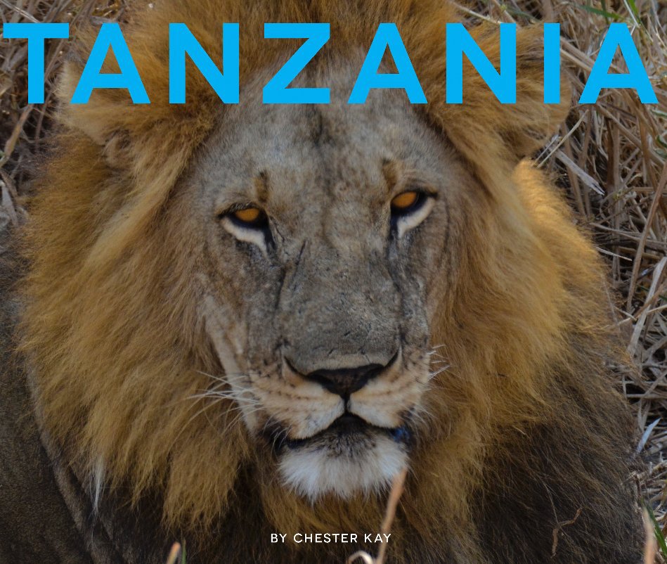 View Tanzania by Chester Kay