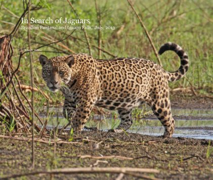 In Search of Jaguars Brazilian Pantanal and Iguazu Falls, July 2013 book cover