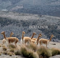 Ecuador Mini book cover