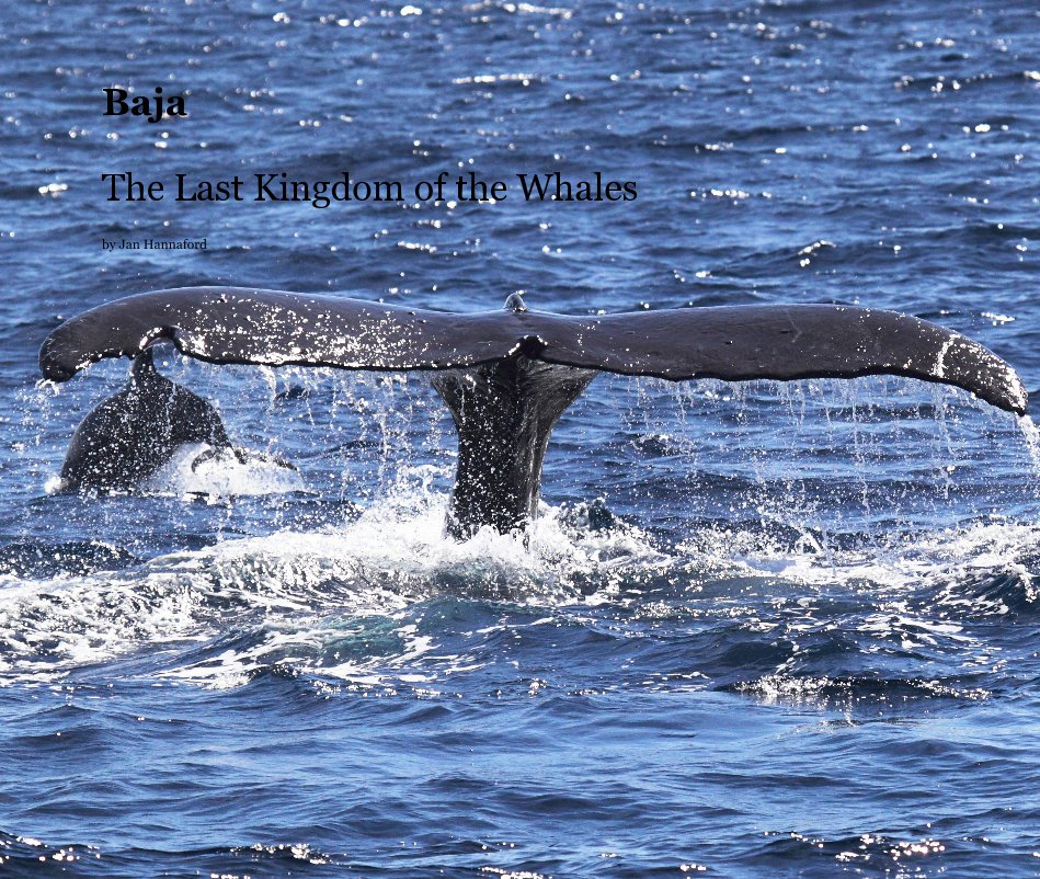 View Baja The Last Kingdom of the Whales by Jan Hannaford