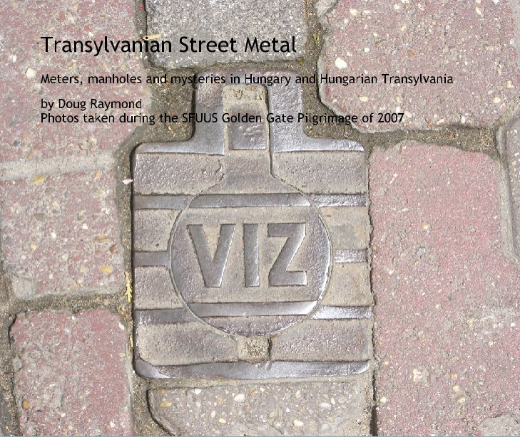 View Transylvanian Street Metal by Doug Raymond