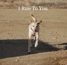I Run To You book cover