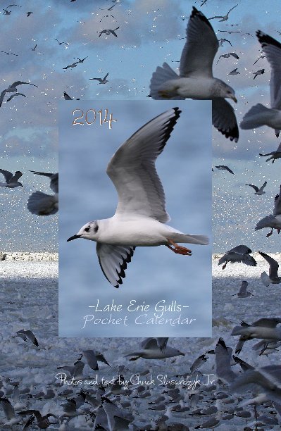Visualizza 2014 Lake Erie Gulls Pocket Calendar di Photos and text by Chuck Slusarczyk Jr.