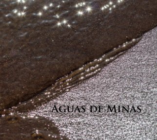 Águas de Minas book cover