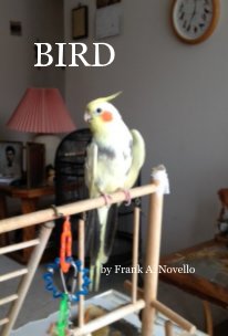 BIRD book cover