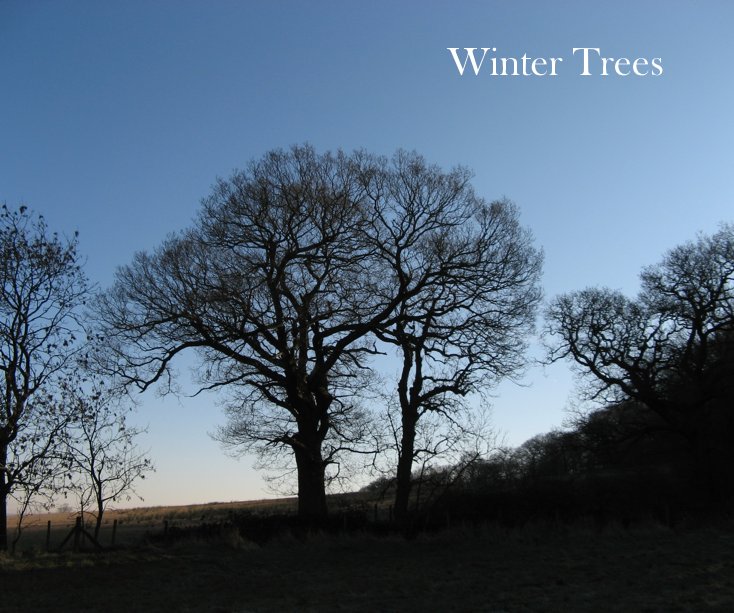 Winter Trees nach Benjamin Wardhaugh anzeigen