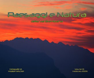 Paesaggi della Val Brembana book cover