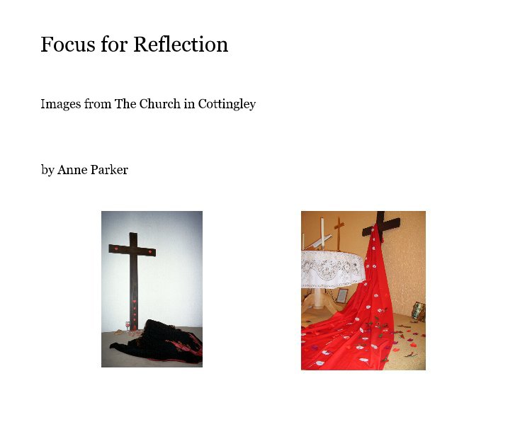 View Focus for Reflection by Anne Parker