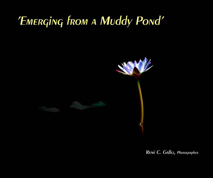 Ver 'Emerging from a Muddy Pond' por René C. Gallet, Photographer