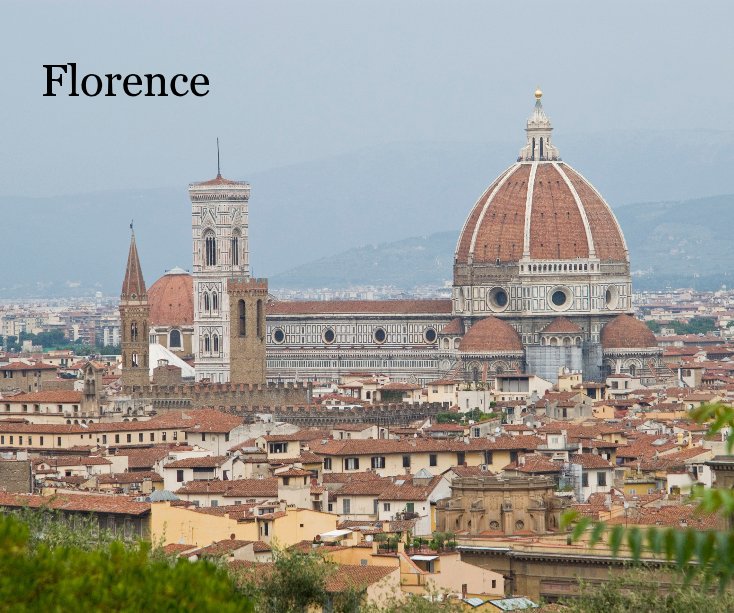 View Florence by Julien Fontaine
