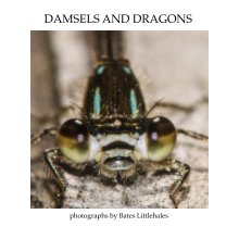 DAMSELS AND DRAGONS book cover