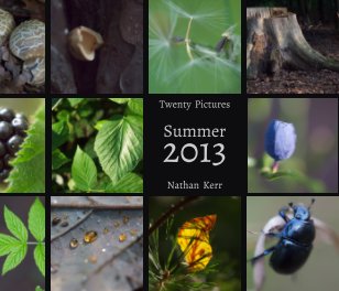 Twenty Pictures: Summer 2013 book cover