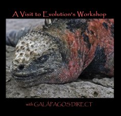 A Visit to Evolution's Workshop book cover