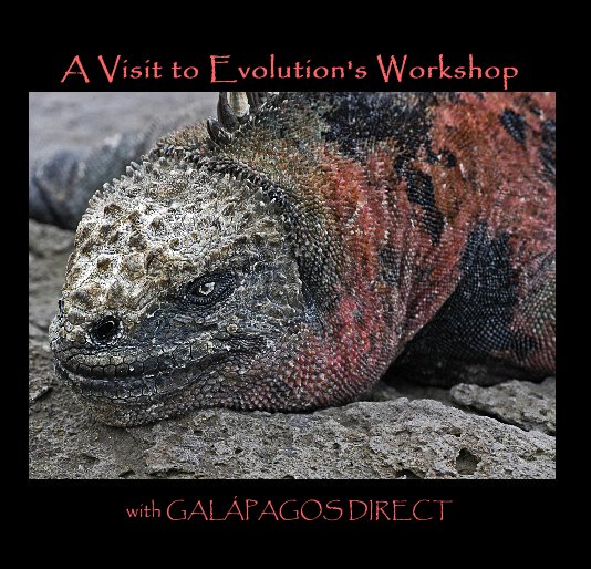 Ver A Visit to Evolution's Workshop por with GALÁPAGOS DIRECT
