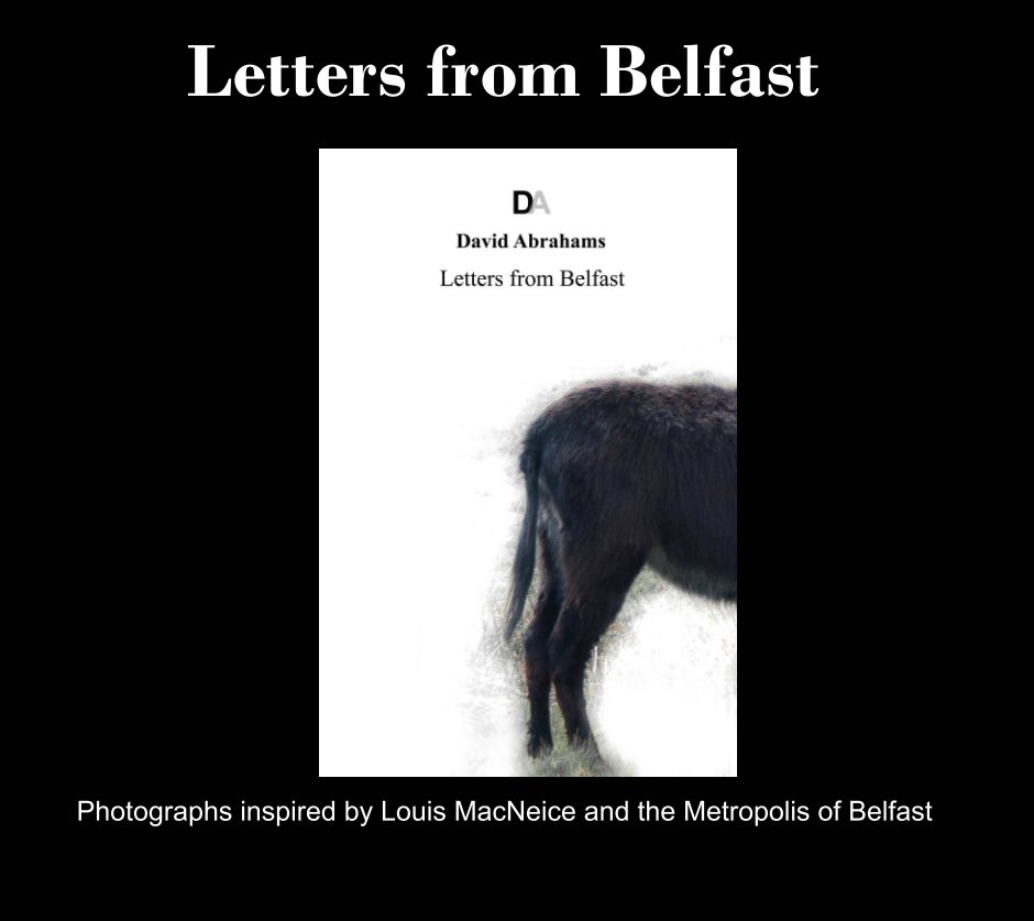 View Letters from Belfast by David Abrahams