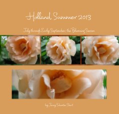 Holland Summer 2013 book cover