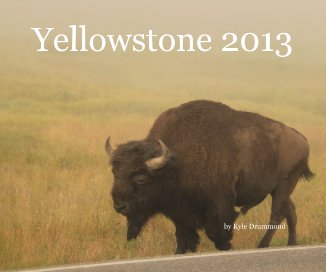 Yellowstone 2013 book cover