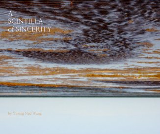 A SCINTILLA of SINCERITY by Yinong Ned Wang book cover